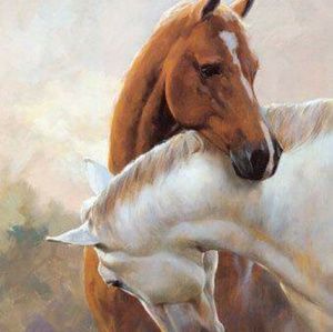 Meet your Posher, Teresa